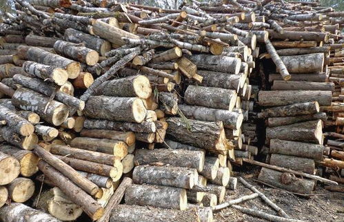 农村有人收购旧碎木,4毛一斤,年挣十几万,咋赚的 答案来了 网易订阅